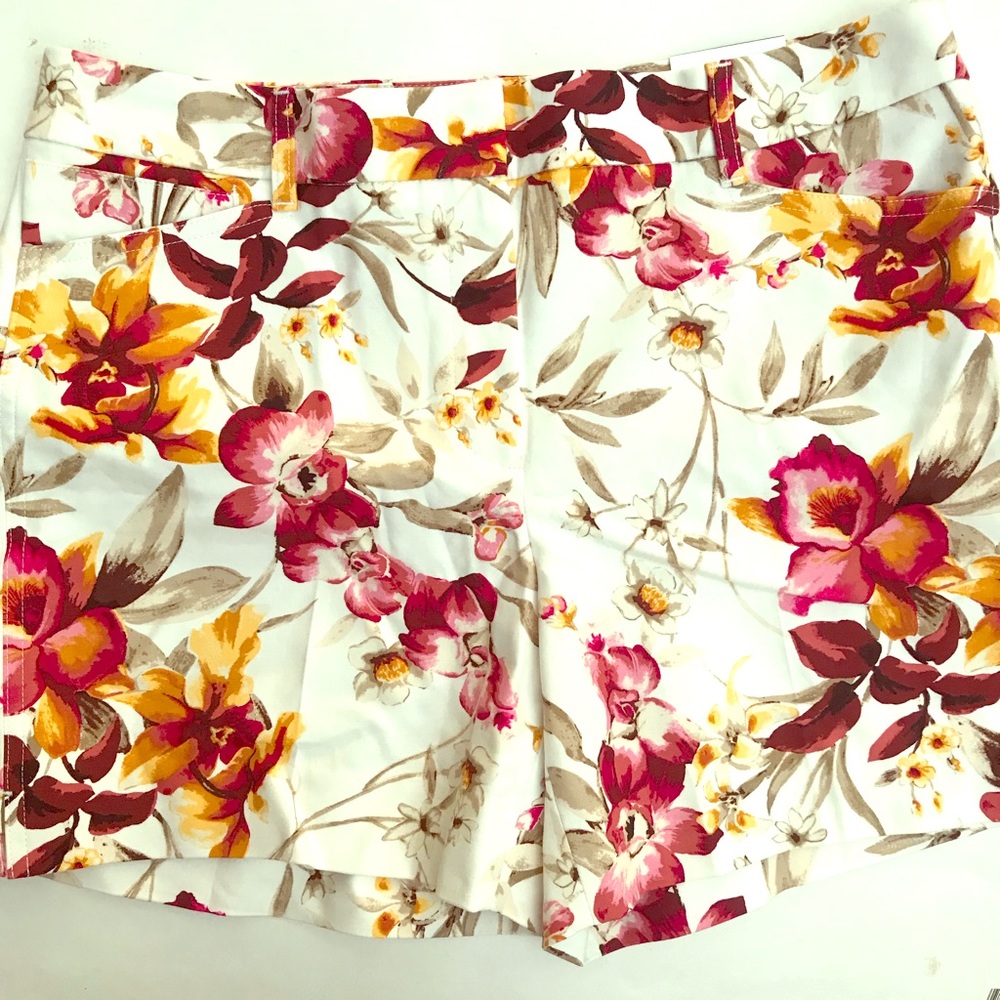 White House Black Market Shorts NWT